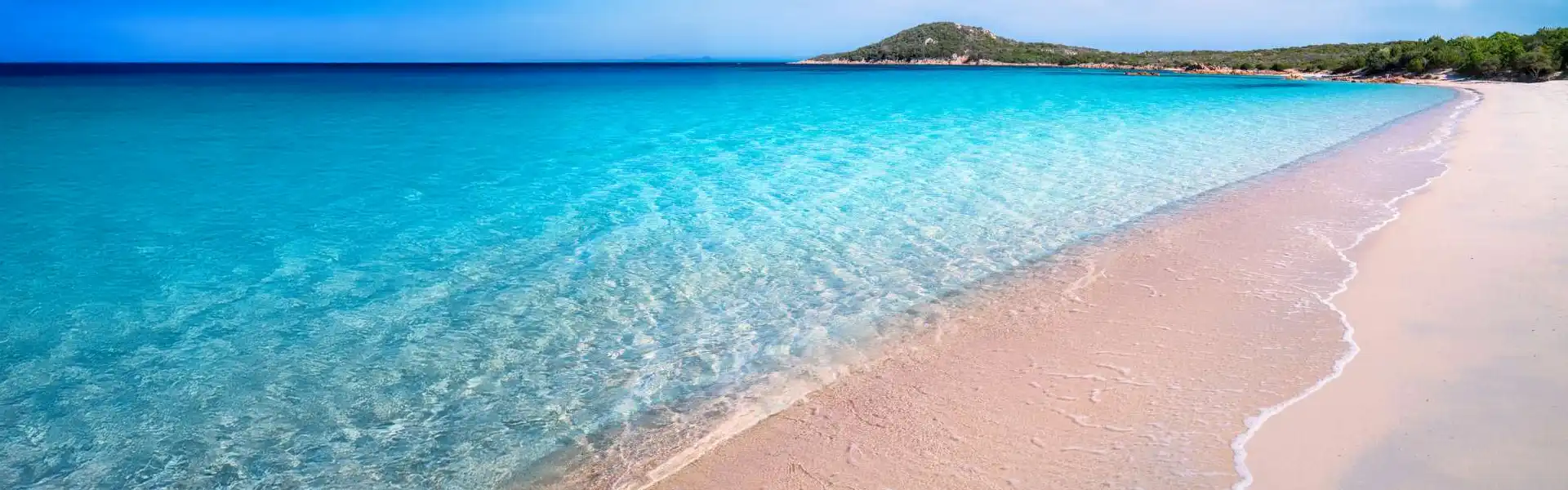 今すぐお得な料金を見つけましょう