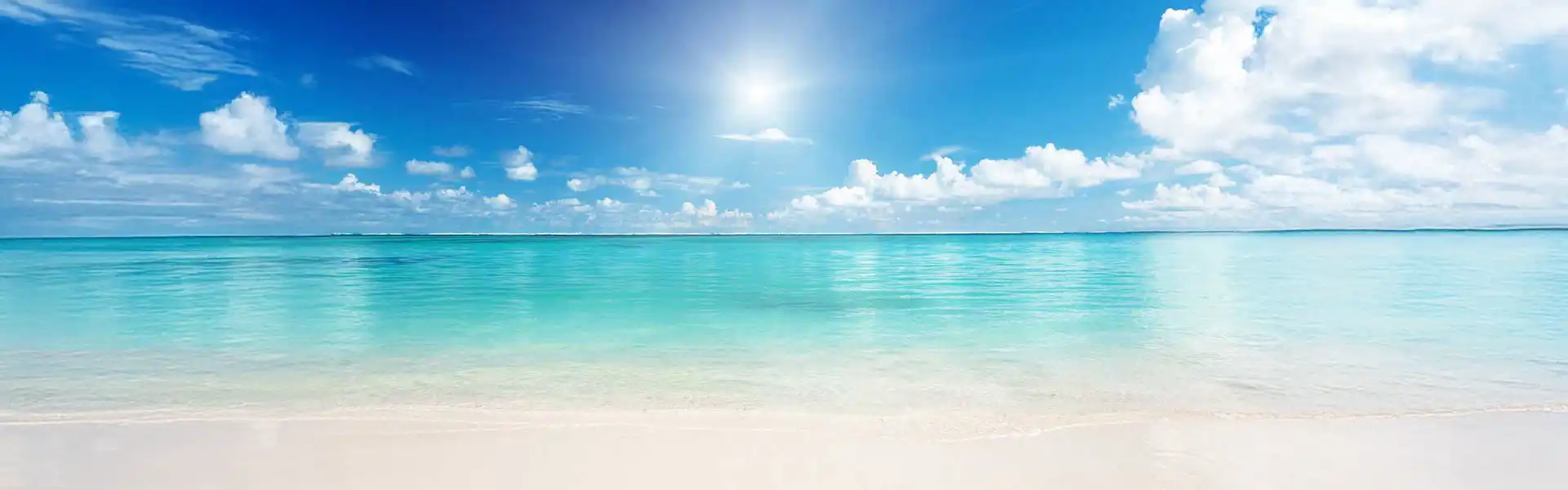 カリブ海&バハマプロモーション