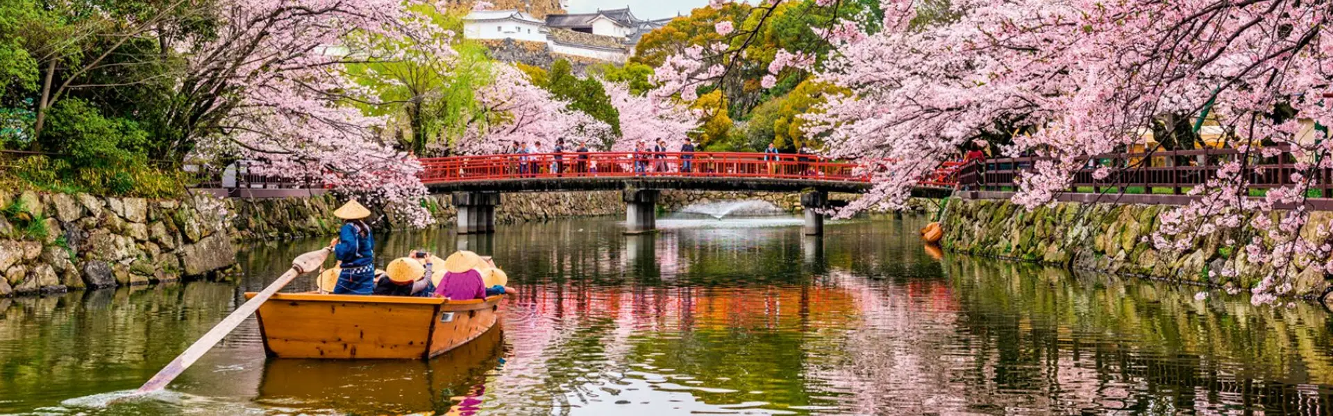 日本・韓国・中国プロモーション