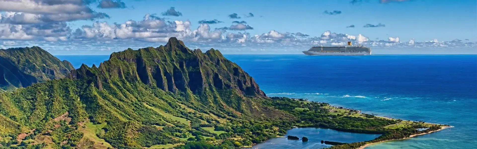 あなたの夢を叶えよう