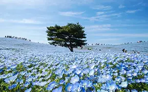 福岡