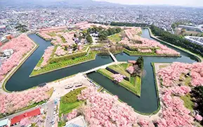 函館 の画像