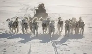 カンゲルルススアーク