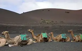 ランサローテ