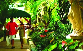 セント・トーマス