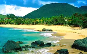 セント・マーチン