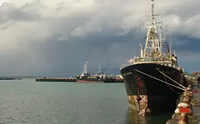 ティマル