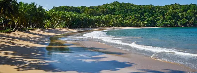ボンボン島
