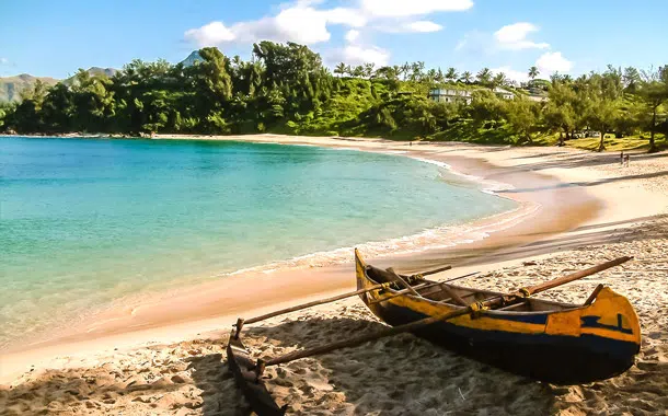 フォールドーファン