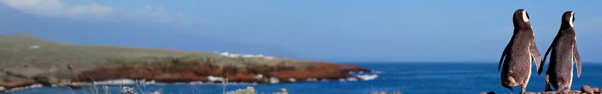 プエルト・マドリン