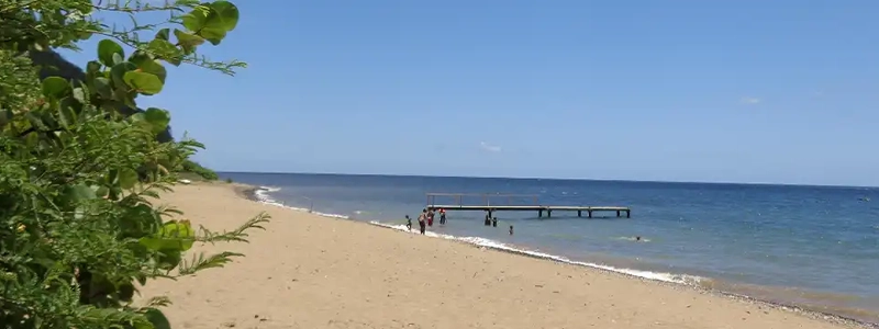 ポワントノワール