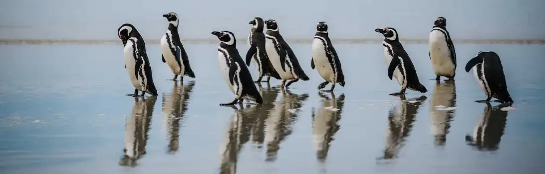 サウンダーズ島