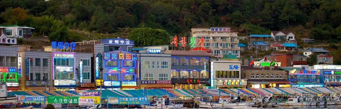 束草