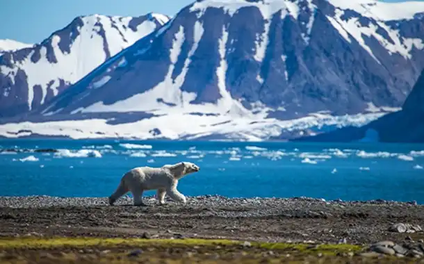 スピッツベルゲン