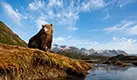 アラスカ