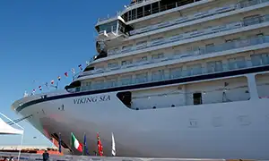 バイキング・シー