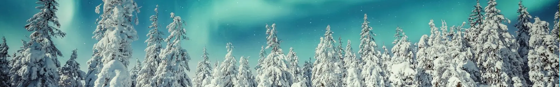 フィンランド