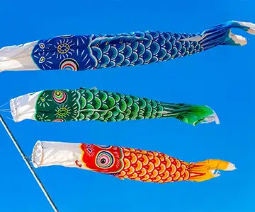 2026 憲法記念日 クルーズ：平和を祝う船旅 の画像