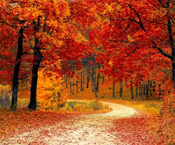 2026 秋分の日 クルーズ：秋の訪れを祝う船旅 の画像