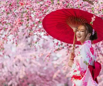 2026 春分の日クルーズ：春の訪れを祝う船旅 の画像