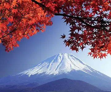 2026 山の日 クルーズ：山と自然を堪能する船旅 の画像